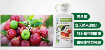 探究抗氧化劑與防癌之謎 保健食品的真相